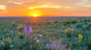 Sunrise at Pawnee National Grasslands, Colorado