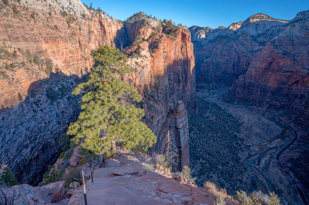 chain section of Angels Landing in zion national park