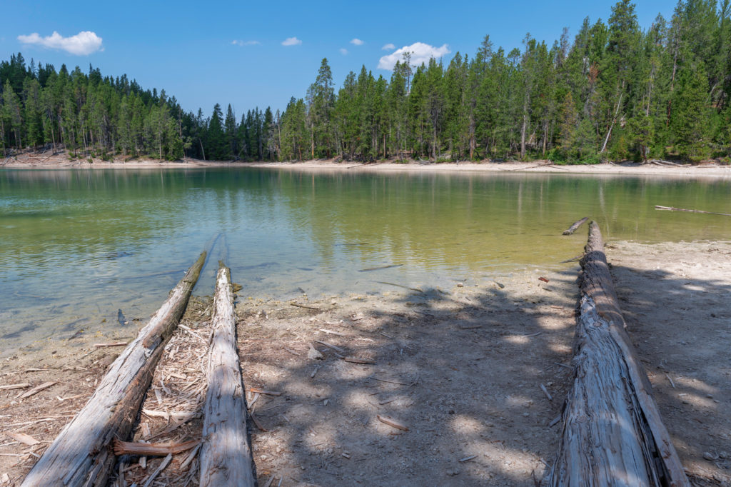 two logs on the sandy beach shore of clear lake in yellowstone national park