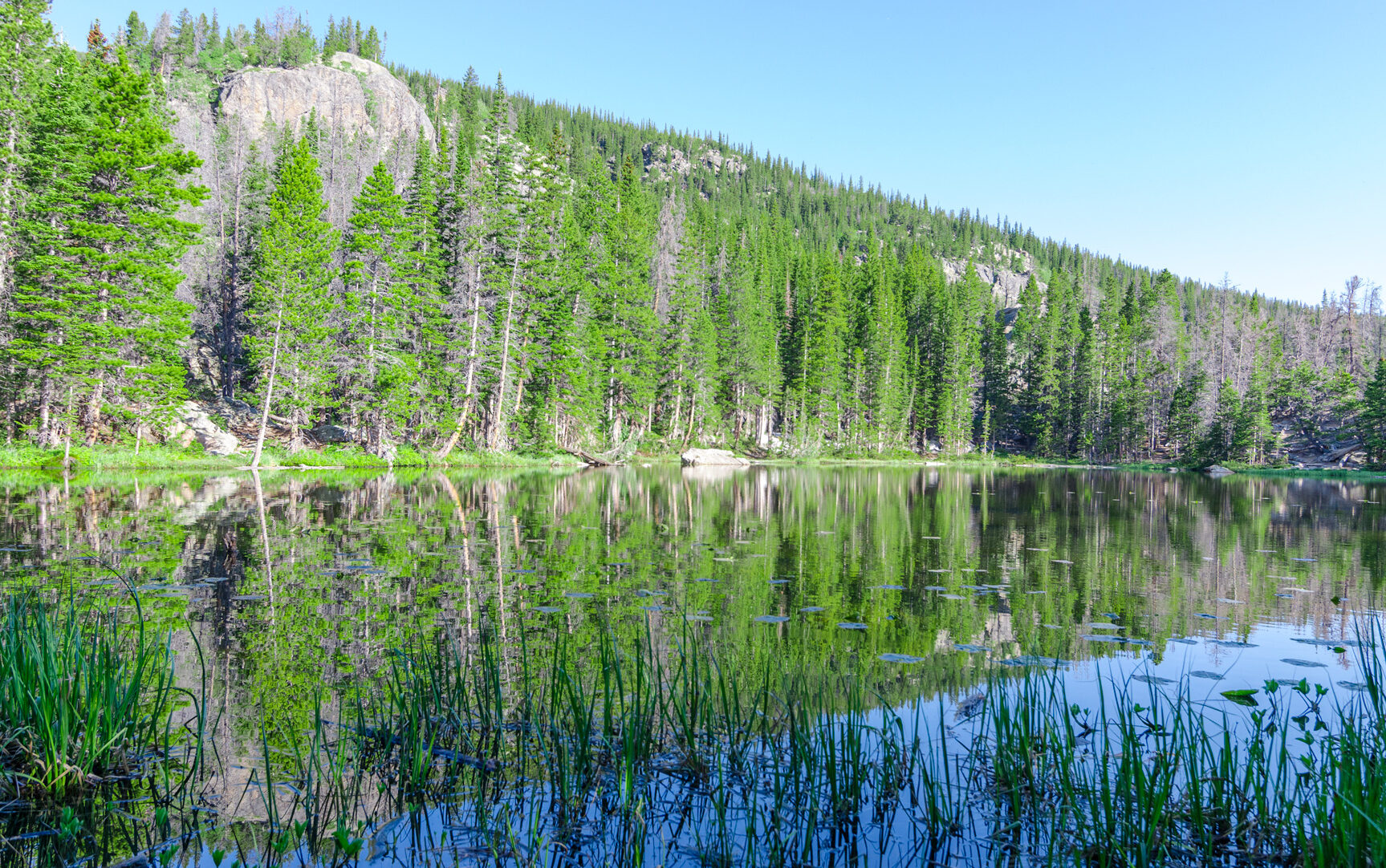Nymph Lake in Rocky Mountain National Park Colorado