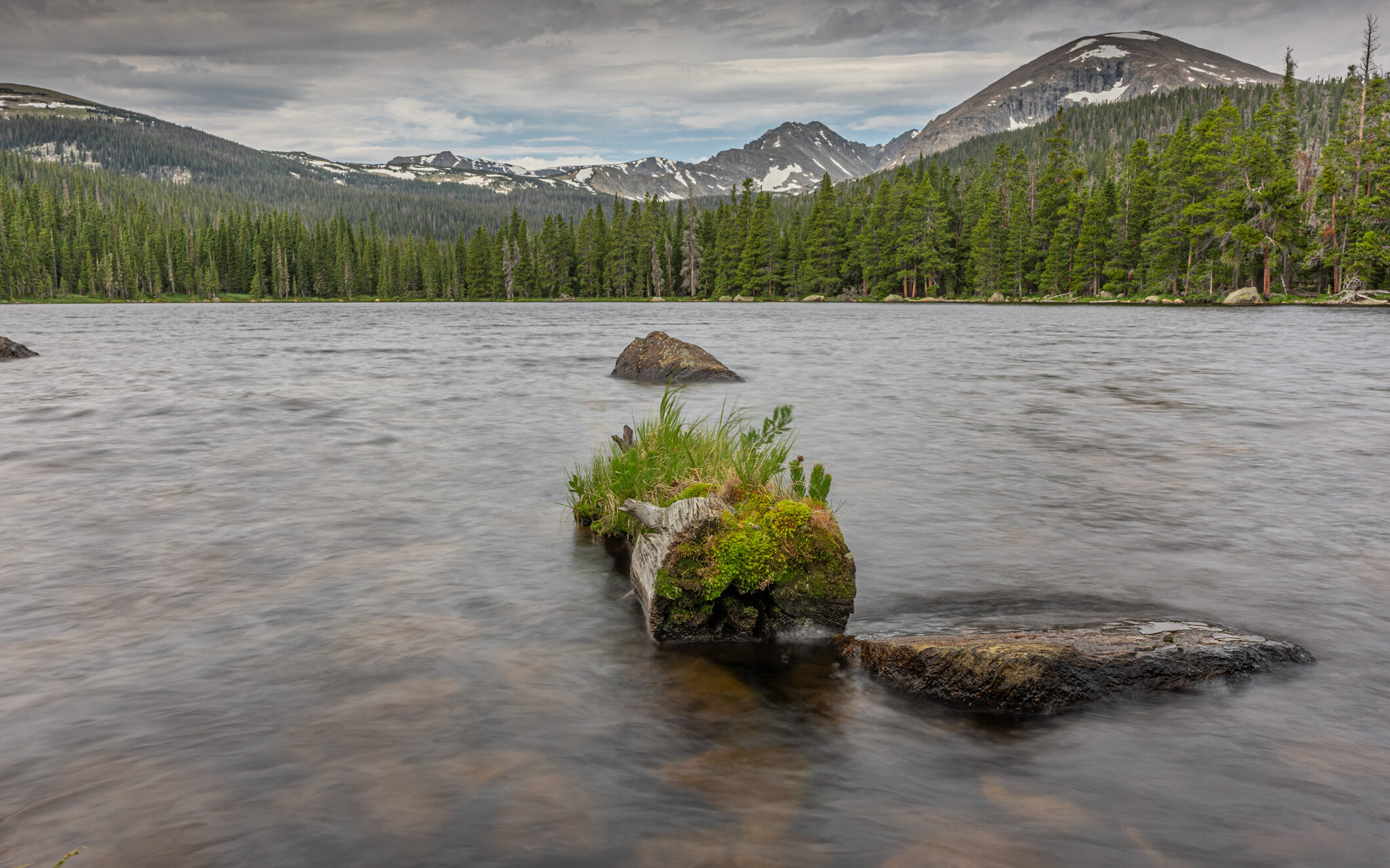 Finch lake in the summer. Small log and rock focused on in lake, forest and mountains below a cloudy sky in the background.