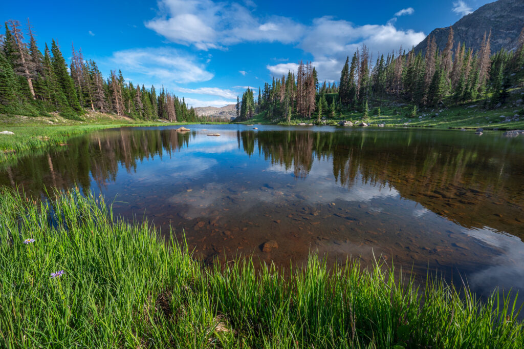 Lower Haynach Lake, grassy shore, shallow alpine lake surrounded by trees