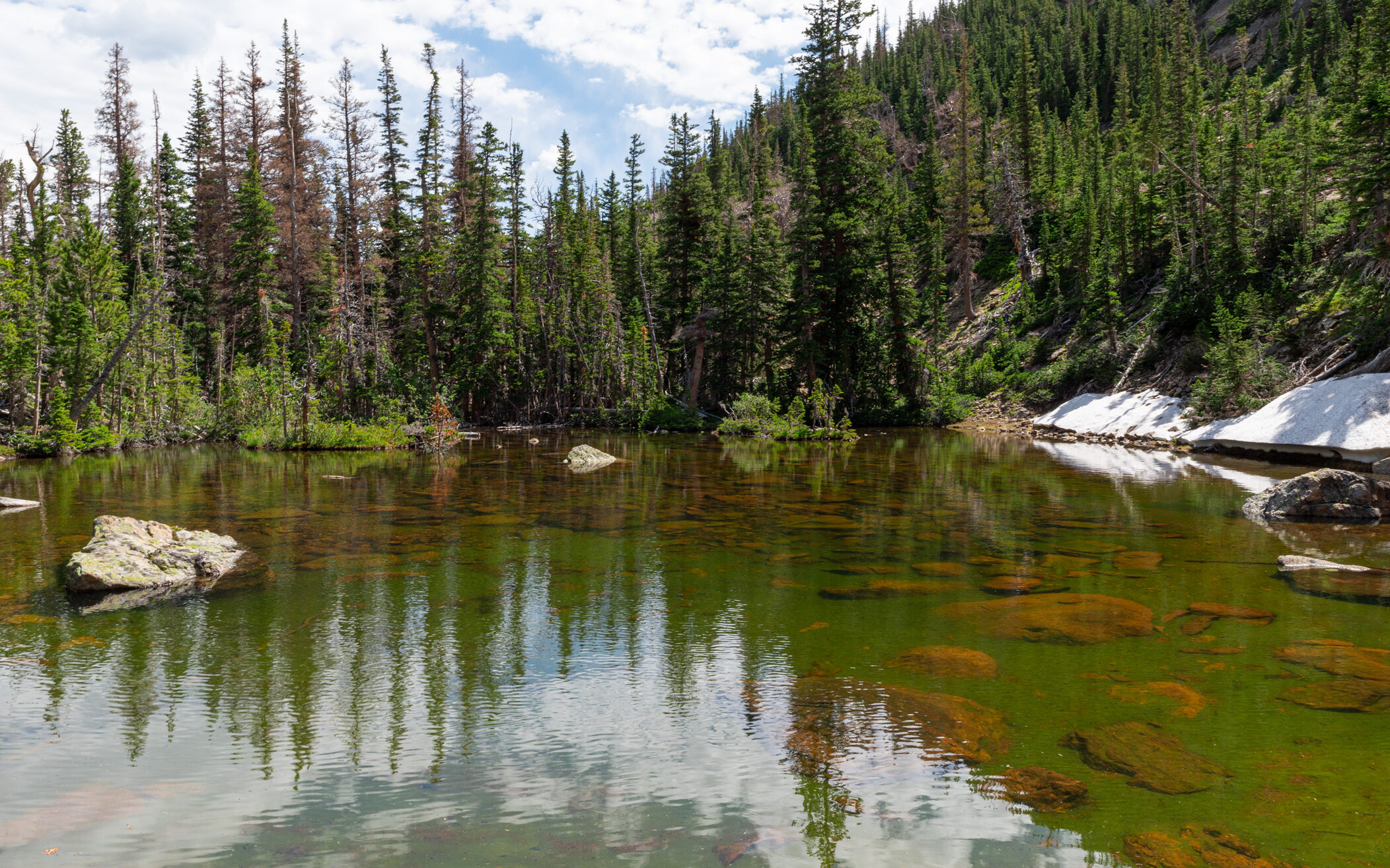 A very shallow, not so much visited alpine lake in Rocky Mountain National Park